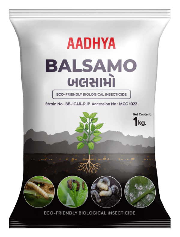 Aadhya Seeds