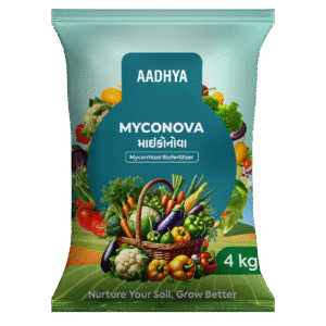 માયકોનોવા