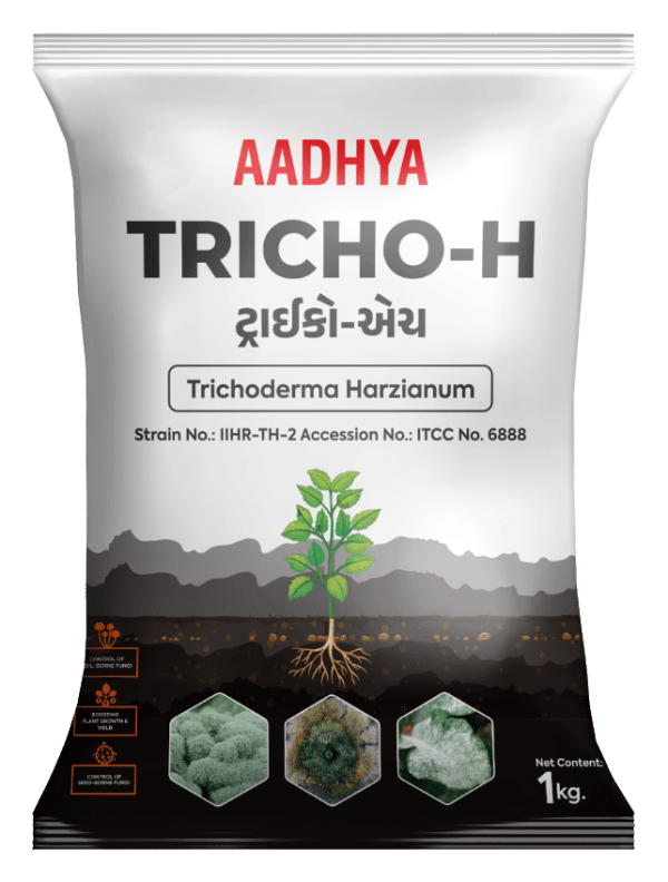 Aadhya Seeds