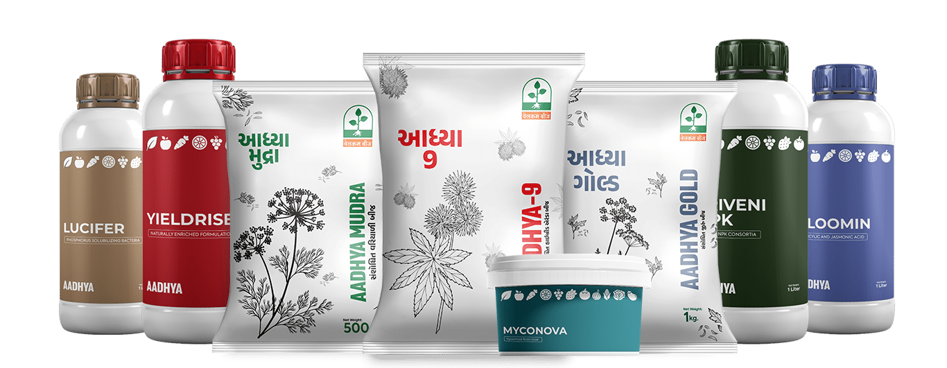 Biofertilizers Company in Gujarat