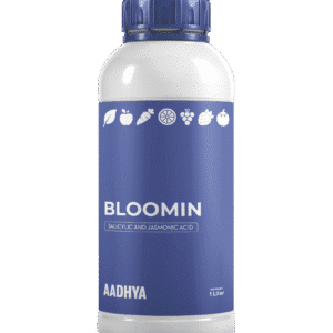 બ્લૂમિન