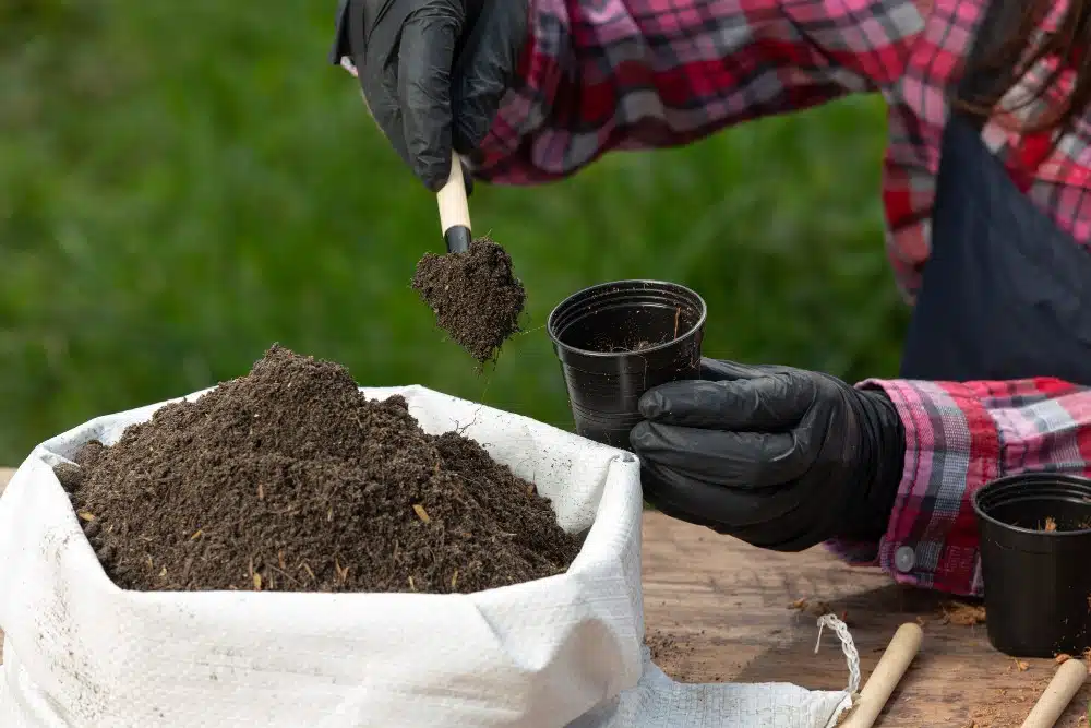 Organic Fertilizer in Gujarat