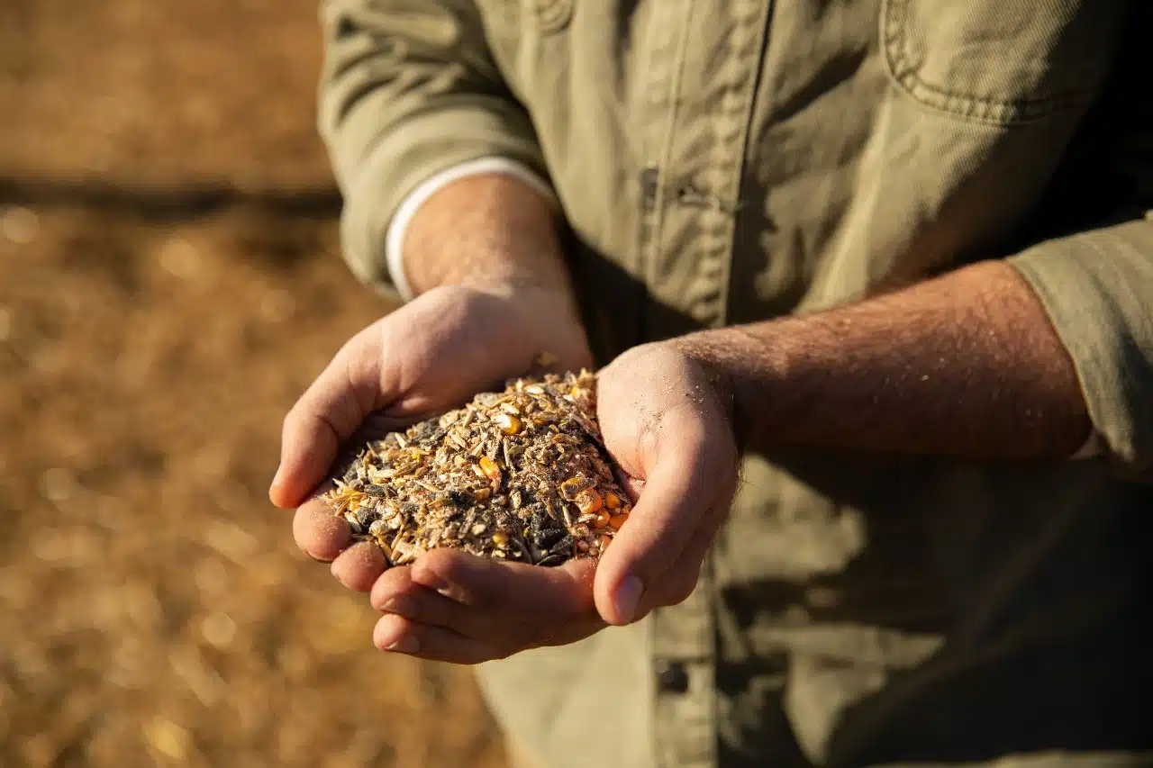 Seeds Production Company Gujarat