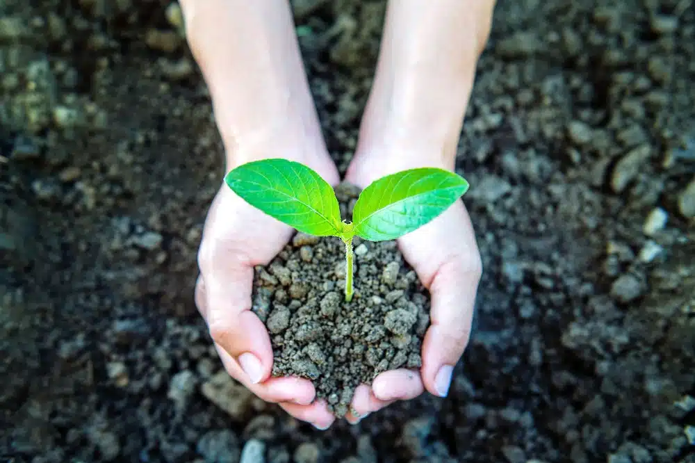 Sustainable Farming in Gujarat